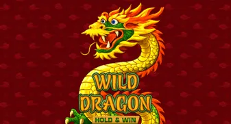 Wild Dragon Hold & Win 