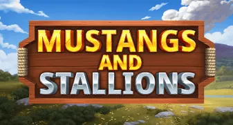 Mustangs and Stallions 