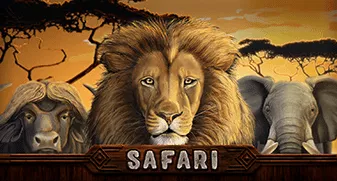 Safari