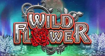 Wild Flower 