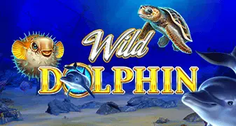 Wild Dolphin 