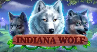 Indiana Wolf 