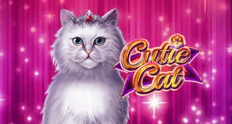 Cutie Cat 
