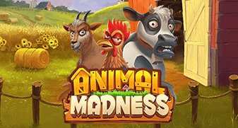 Animal Madness