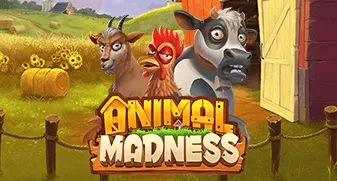 Animal Madness 