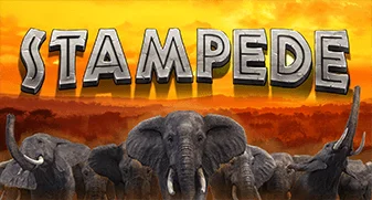 Stampede 
