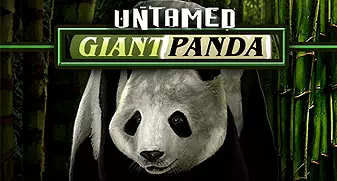Untamed Giant Panda 