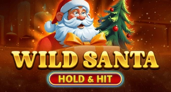 Wild Santa - Hold & Hit 