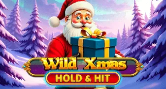 Wild Xmas - Hold & Hit 