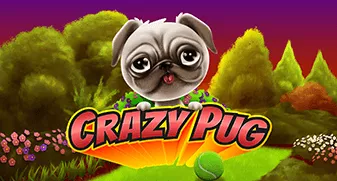 Crazy Pug 