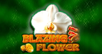 Blazing Flower 