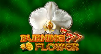 Burning Flower 