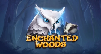 Enchanted Woods 