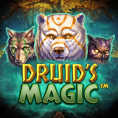 Druid's Magic slots by Evolution
