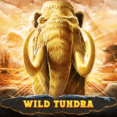 Wild Tundra slots by Evolution