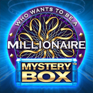 Millionaire Mystery Box
