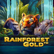 Rainforest Gold