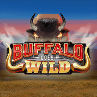 Buffalo Goes Wild