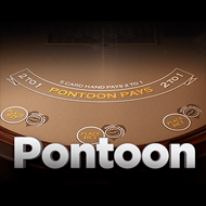 Pontoon 21