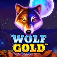 WolfGold National Casino Review