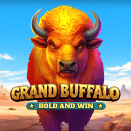 Grand Buffalo Hold and Win