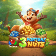 3 Fortune Nuts
