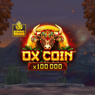 Ox Coin Burning Board