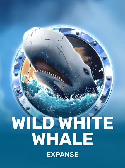 Wild White Whale — Expanse Studio
