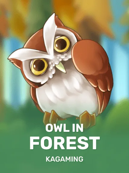 Owl In Forest — KAGaming