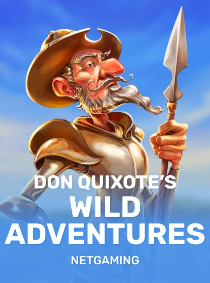 Don Quixote's Wild Adventures — Netgaming