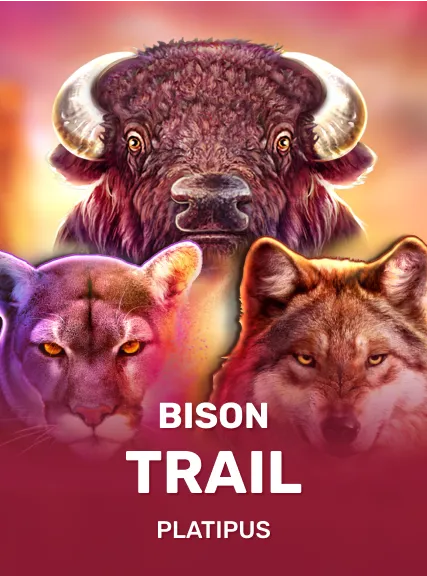 Bison Trail — Platipus