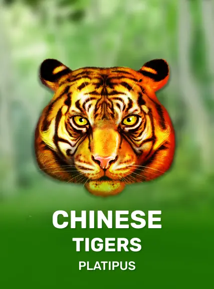 Chinese Tigers — Platipus