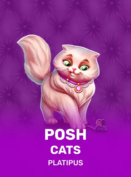 Posh Cats — Platipus