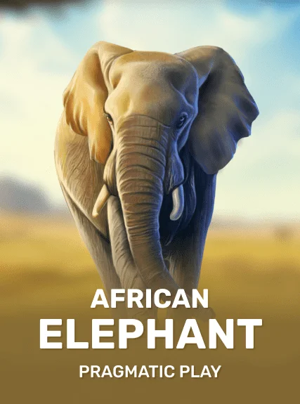 African Elephant — Pragmatic
