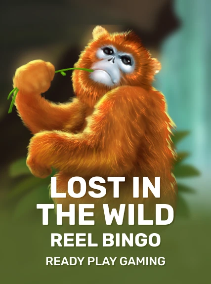 Lost in the Wild Reel Bingo — Ready Play Gaming