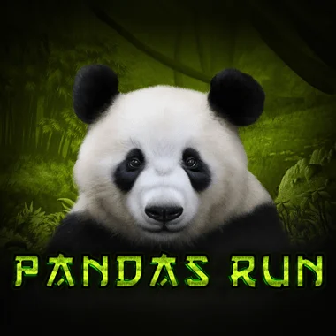 tomhornnative/Pandas_Run